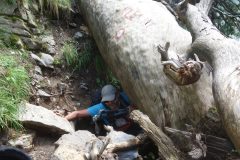 20230706-150025_montenegro_luc