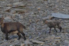 20231009-150607_Ubaye