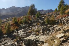 20231012-114608_Ubaye