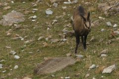 20231014-103854_Ubaye