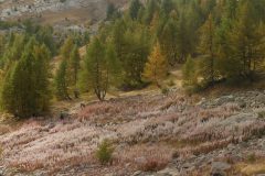 20231014-121746_Ubaye