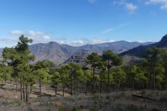 20231127-135950_GranCanaria