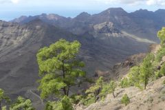 20231127-143723_GranCanaria