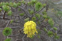 20231127-185232_GranCanaria