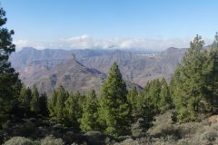 20231128-162848_GranCanaria