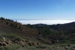 20231129-135544_GranCanaria