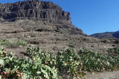 20231202-130647_GranCanaria