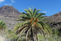 20231202-133122_GranCanaria