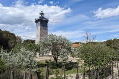 20240503-145544_Med-Velo-luc