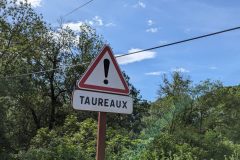 20240505-102859_Med-Velo-luc