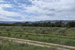 20240506-102250_Med-Velo-luc