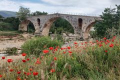 20240506-111655_Med-Velo