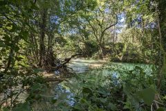 20240509-112620_Med-Velo-luc