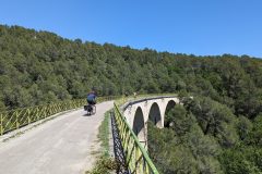 20240510-150103_Med-Velo-luc