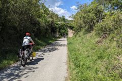 20240510-151419_Med-Velo-luc