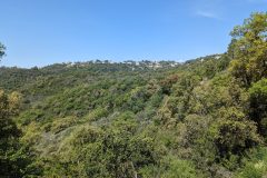 20240511-112307_Med-Velo-luc