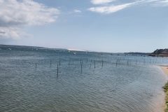 20250505-162456_Velodyssee