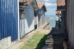 20250505-163911_Velodyssee