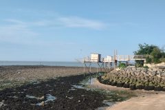 20250508-091016_Velodyssee