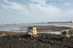 20250508-092024_Velodyssee