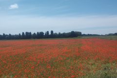 20250510-142304_Velodyssee